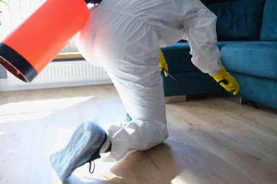 Pest Fumigation Service in Winston Salem, NC