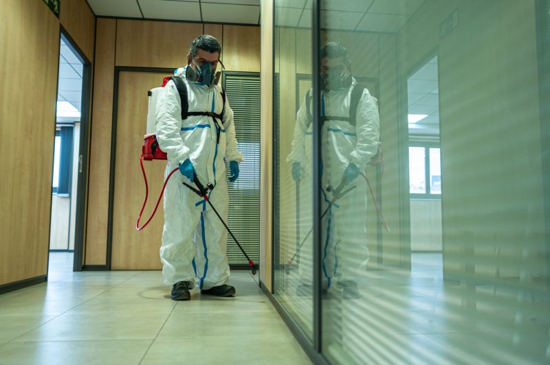 Spider Fumigation Service in Davis County, UT